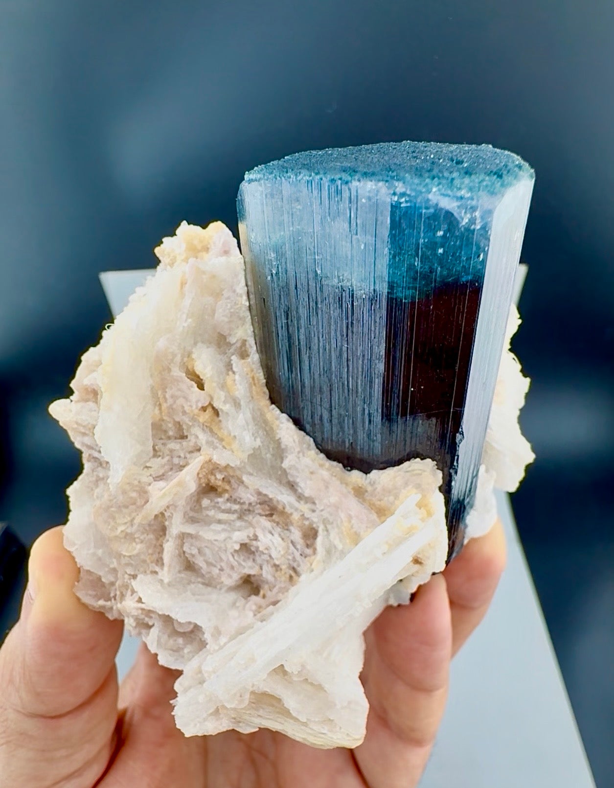 Blue Cap Tourmaline with Cleavlandite Albite from Afghanistan, 310 gran
