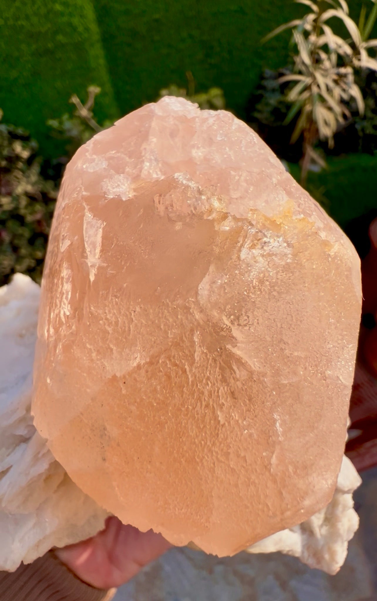 Morganite with Mica and Albite from Afghanistan, 699 gram