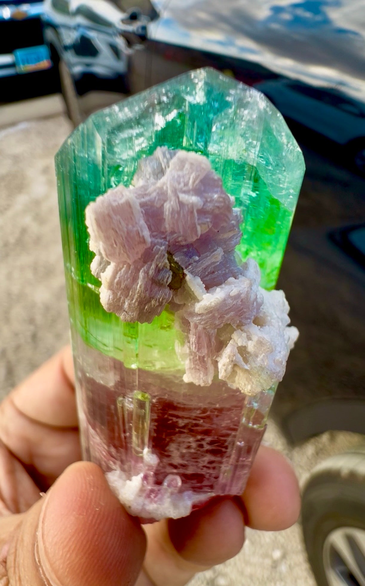Watermelon Tourmaline Crystal with Lepidolite and Microlite from Paprok, 78 gram