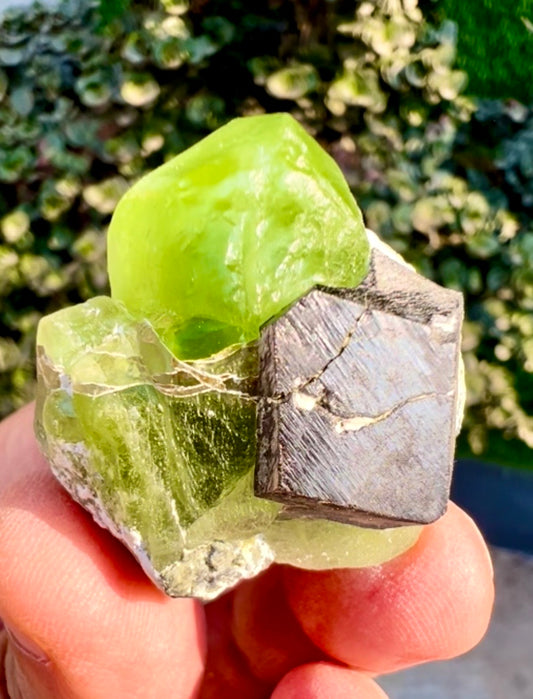 Peridot with Magnetite specimen from Pakistan, 28 gram