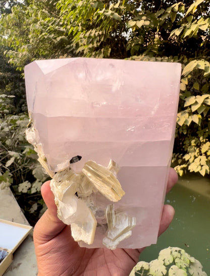Pink Morganite crystal with Tourmalines and Mica from Pakistan, 2339 gram
