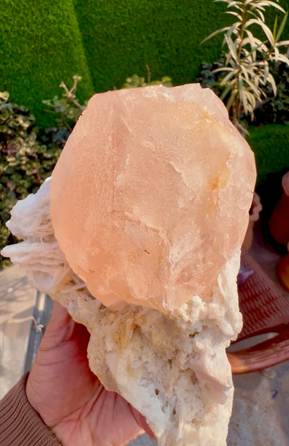 Morganite with Mica and Albite from Afghanistan, 699 gram