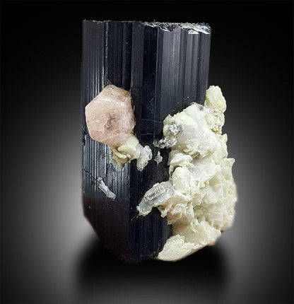Tourmaline with Fluorapatite and Aquamarine, Combo Specimen, Fine Mineral, Tourmaline Apatite - 140 gram, 58*41*38 mm