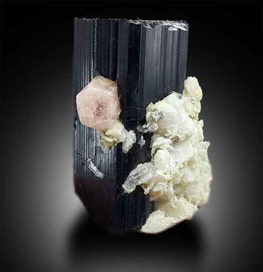 Tourmaline with Fluorapatite and Aquamarine, Combo Specimen, Fine Mineral, Tourmaline Apatite - 140 gram, 58*41*38 mm
