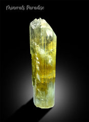 Natural Terminated Yellow Triphane Kunzite Crystal From Afghanistan - 2195 gram