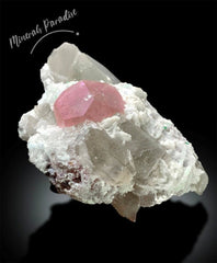 Pink Morganite Crystal with Tourmalines, Quartz and Albite, Morganite Specimen, Tourmaline Crystals from Afghanistan 342 gram