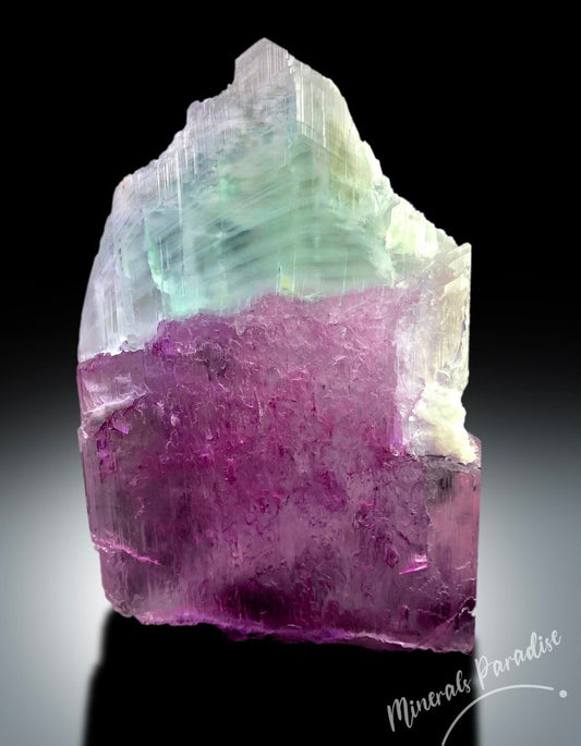 Bi-color Kunzite Crystal with Phantom, Natural Kunzite, Kunzite Stone, Pink Kunzite, Kunzite Rough, Kunzite Specimen 287 Gram