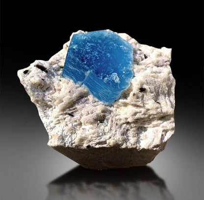 reserved auamarine