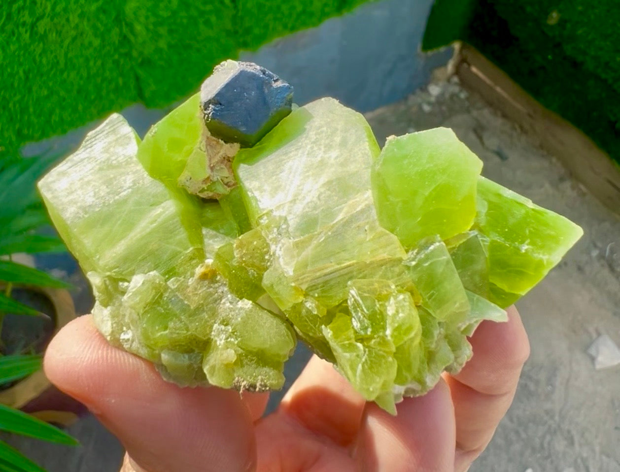 Peridot Crystals with Magnetite from Pakistan, 115 gram