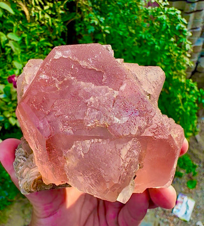 Pink Fluorite on Mica from Pakistan, 1127 gram