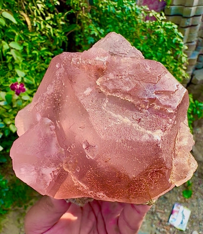 Pink Fluorite on Mica from Pakistan, 1127 gram