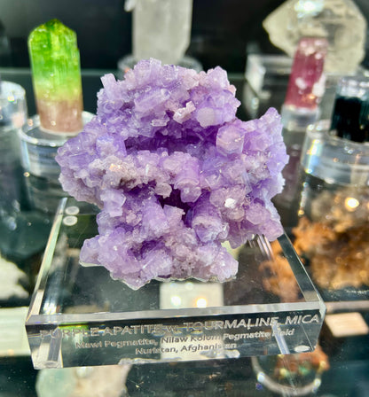 Purple Apatite Crystals Cluster from Afghanistan, 264 gram