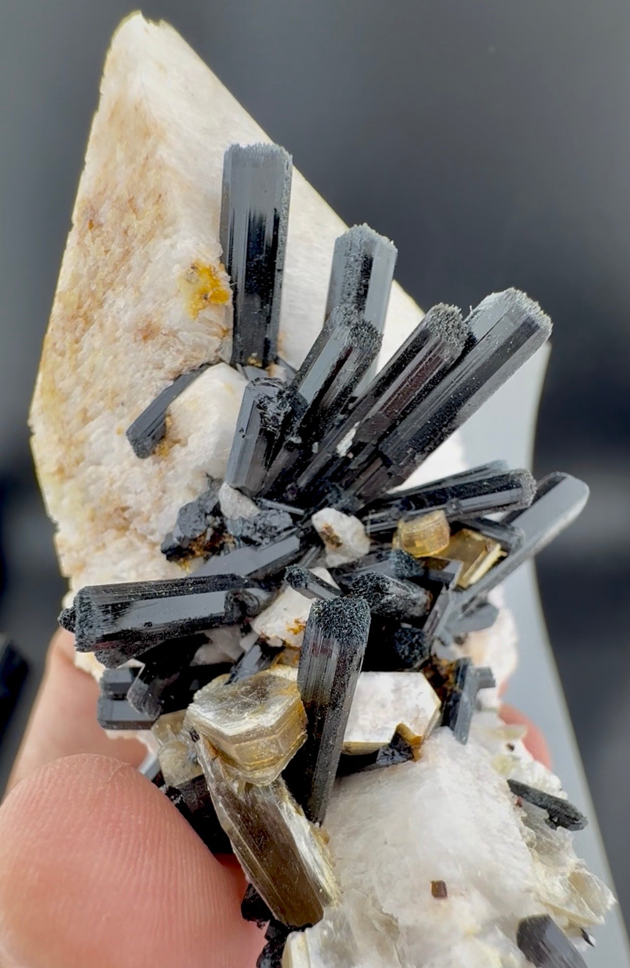 Schorl Tourmaline crystals on Microcline Feldspar from Pakistan, 186 gram