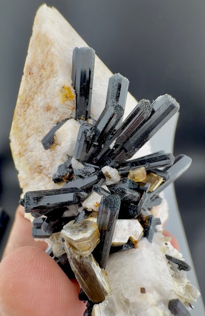 Schorl Tourmaline crystals on Microcline Feldspar from Pakistan, 186 gram
