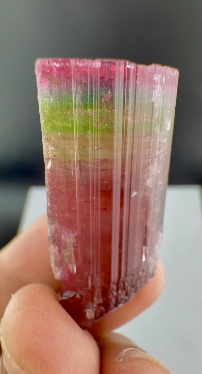 Rainbow Tourmaline crystal from Afghanistan, 125 carats