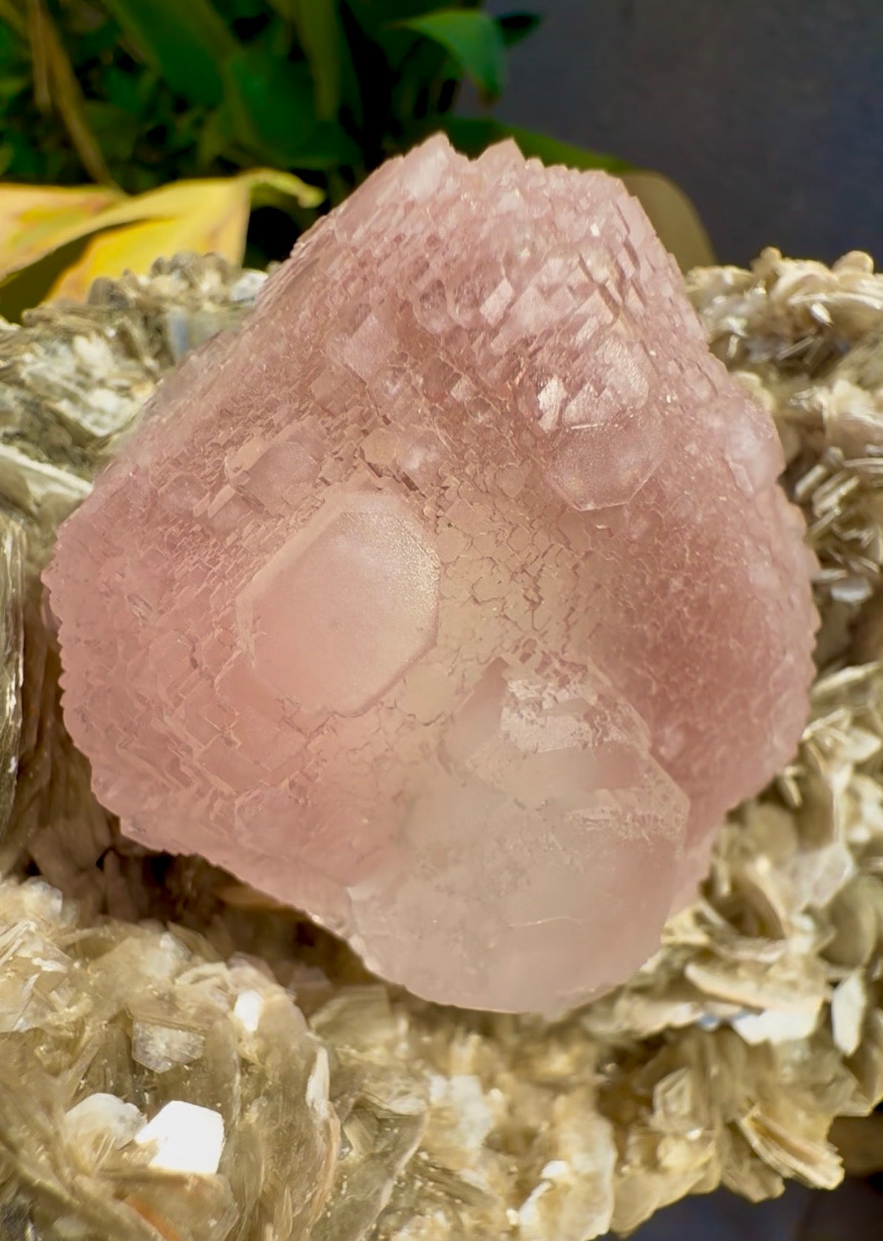 Pink Fluorite on Mica from Pakistan , 1436 gram