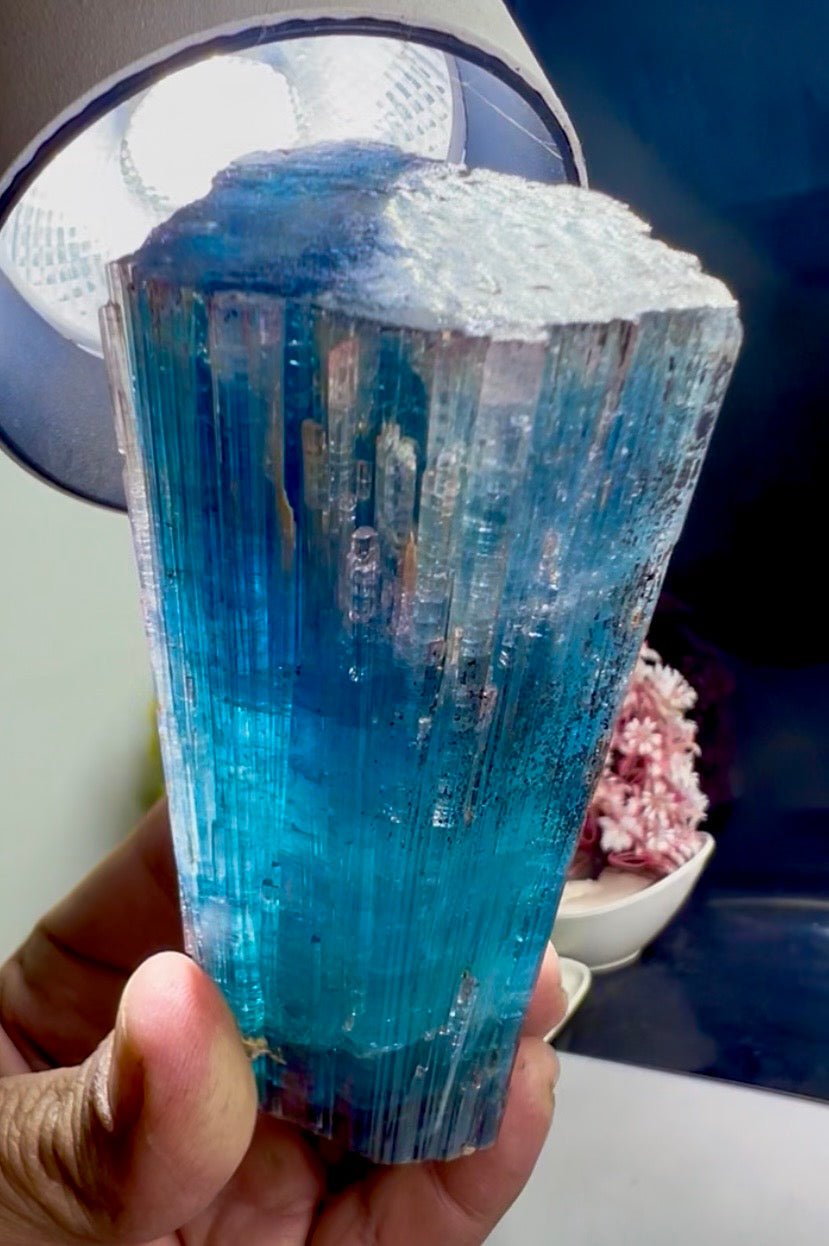 Pink Cap Indicolite Tourmaline crystal from Paprok Afghanistan , 381 gram