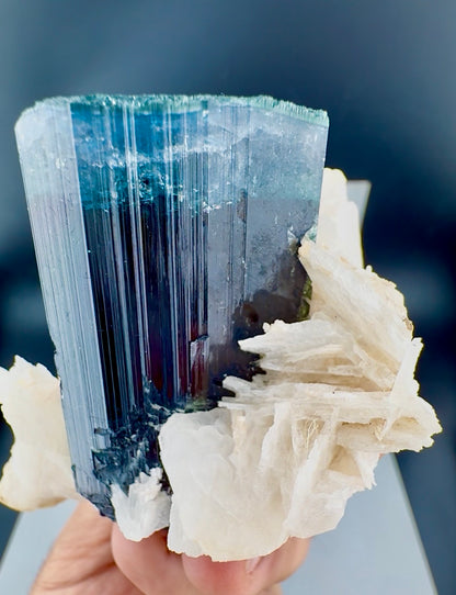 Blue Cap Tourmaline with Cleavlandite Albite from Afghanistan, 310 gran