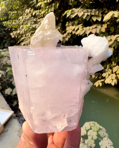 Pink Morganite crystal with Tourmalines, Mica and Feldspar from Pakistan, 365 gram