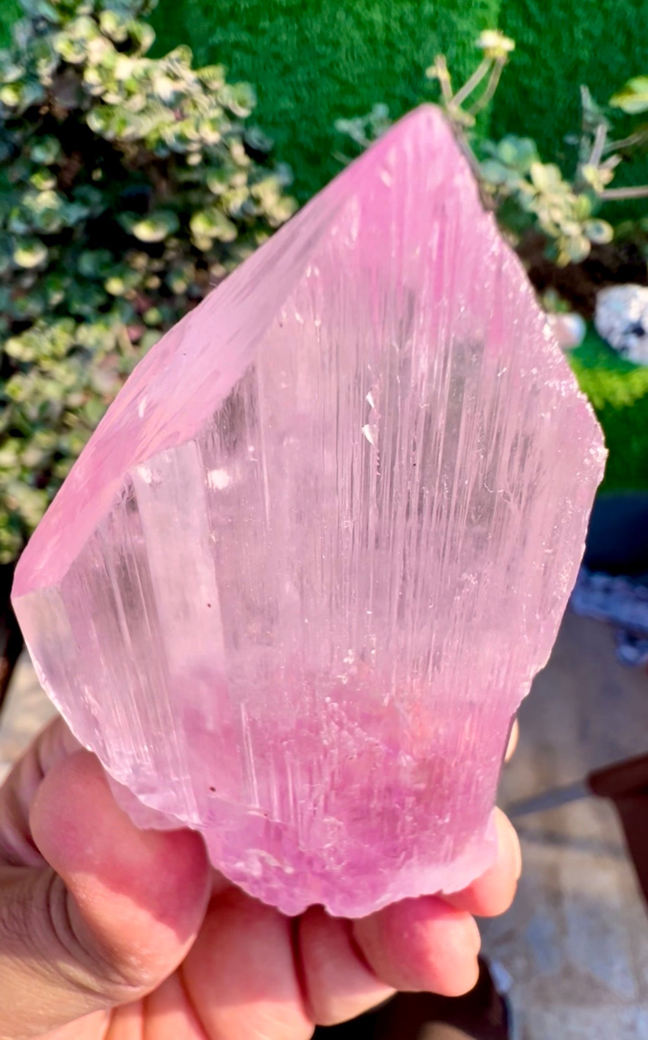 Pink Kunzite Crystal from Afghanistan, 160 gram
