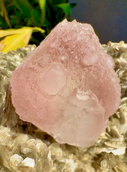 Pink Fluorite on Mica from Pakistan , 1436 gram