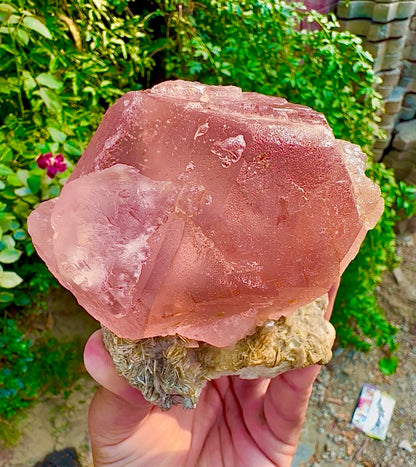 Pink Fluorite on Mica from Pakistan, 1127 gram