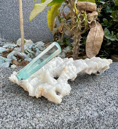 Aquamarine crystal on Albite from Pakistan, 107 gram