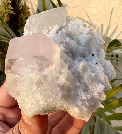 Morganite crysal with Quartz and Cleavlandite Albite from Afghanistan, 125 gram