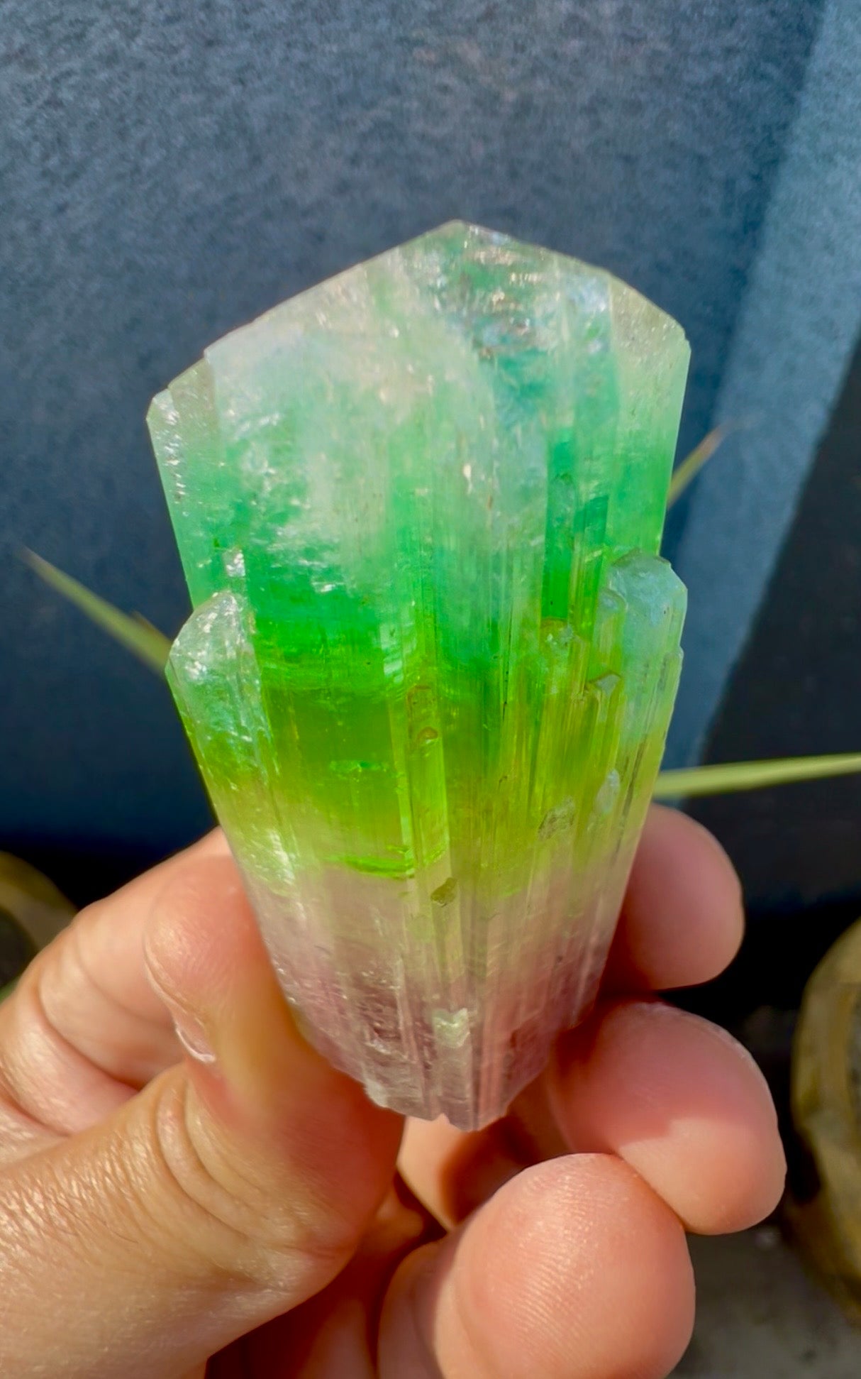 Multicolor Tourmaline Crystal from Paprok  - 76 gram
