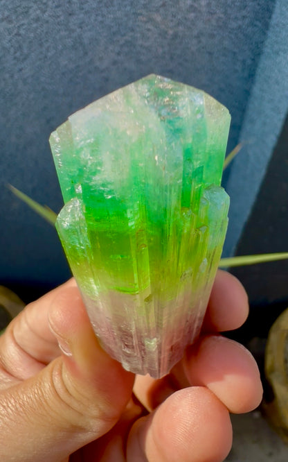 Multicolor Tourmaline Crystal from Paprok  - 76 gram