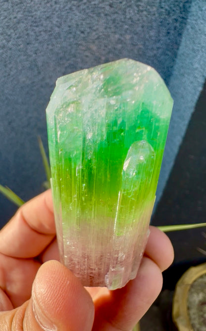 Multicolor Tourmaline Crystal from Paprok  - 76 gram