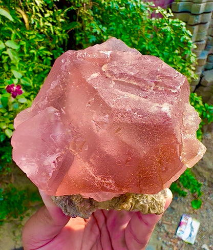 Pink Fluorite on Mica from Pakistan, 1127 gram