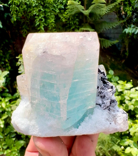 AquaMorganite Beryl with Tourmalines and Quartz on Albite from Afghanistan, 322 gram