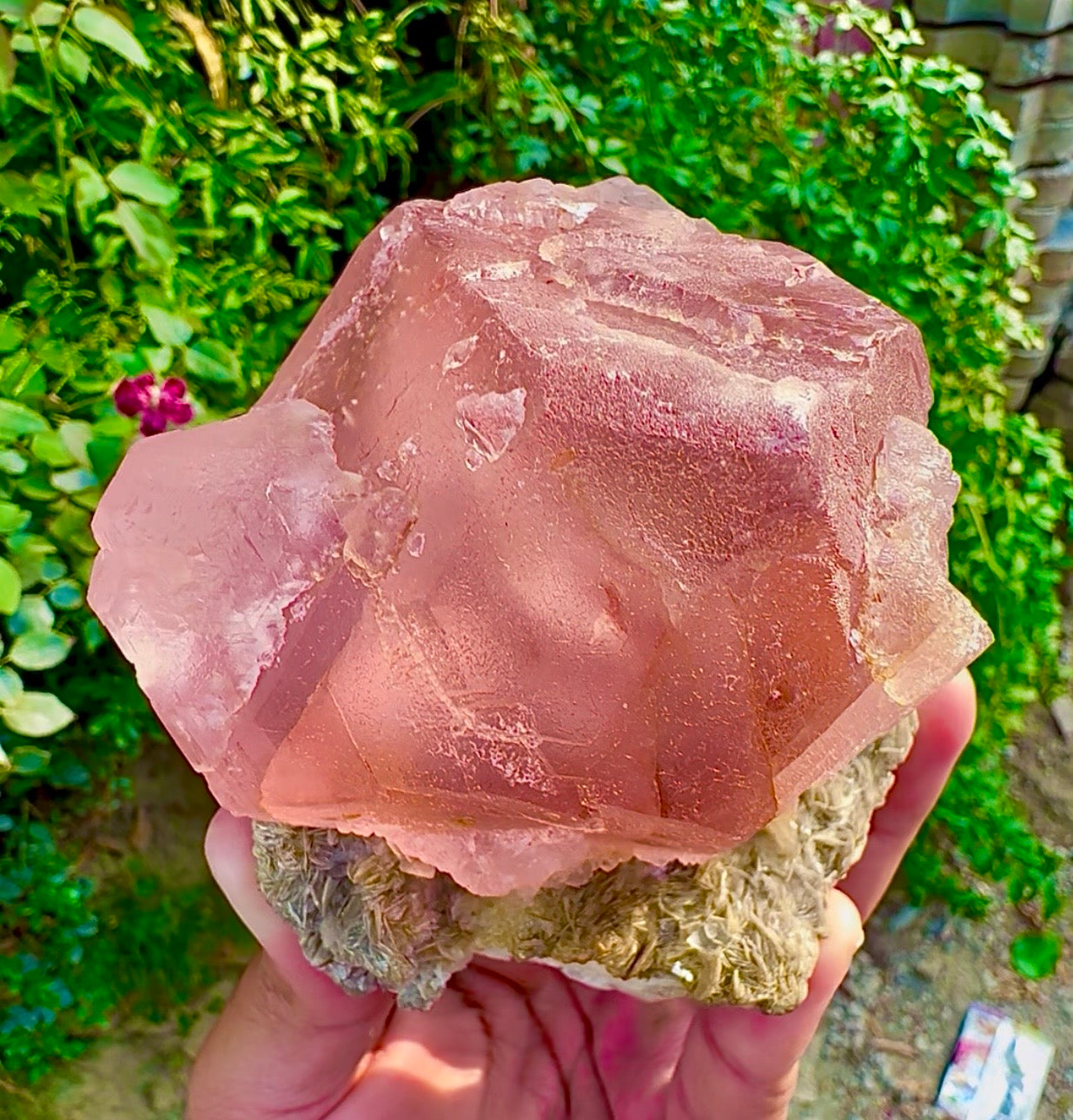 Pink Fluorite on Mica from Pakistan, 1127 gram