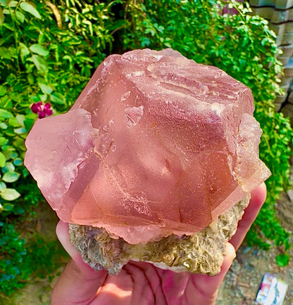 Pink Fluorite on Mica from Pakistan, 1127 gram