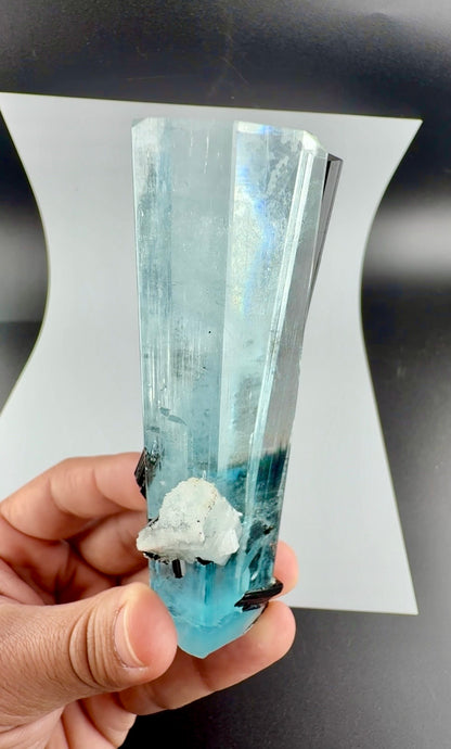 Aquamarine Crystal with Schorl from Pakistan, 160 Gram
