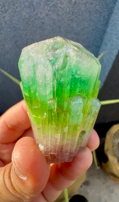 Multicolor Tourmaline Crystal from Paprok  - 76 gram