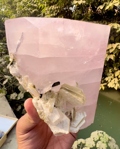 Pink Morganite crystal with Tourmalines and Mica from Pakistan, 2339 gram
