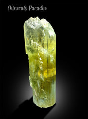 Natural Terminated Yellow Triphane Kunzite Crystal From Afghanistan - 2195 gram