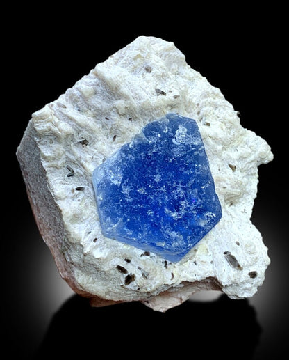 reserved auamarine