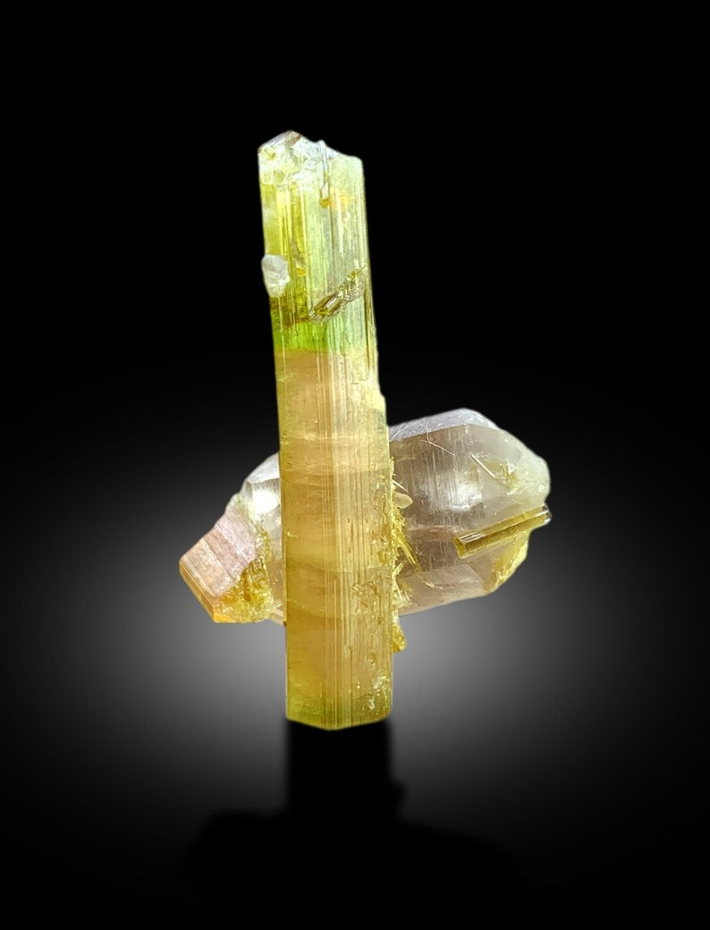 Natural Watermelon Tourmaline Crystal with Quartz, DT Tourmaline & DT Quartz, Paproke Tourmaline, Tourmaline Specimen - 67.50 CT