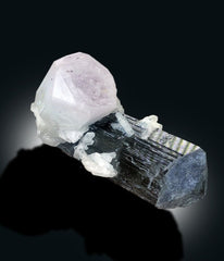 Bicolor Beryl on Schorl, Morganite var Aquamarine Crystal with Black Tourmaline, Mineral Specimen, 91 gram