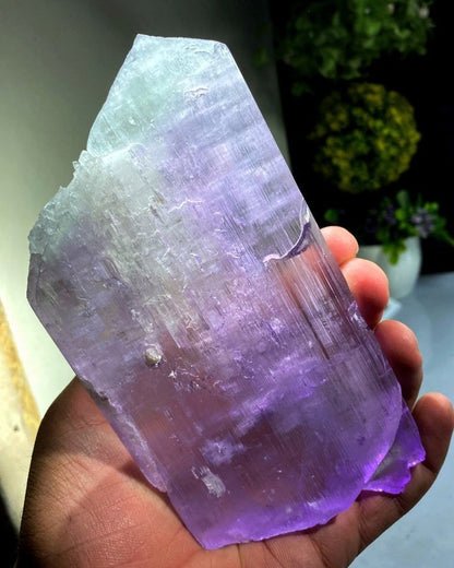 Bicolor Kunzite, Kunzite Crystal, Natural Kunzite, Healing Crystal Kunzite Gemstone, Kunzite Stone From Afghanistan 624 Gram , 165*86*17 mm