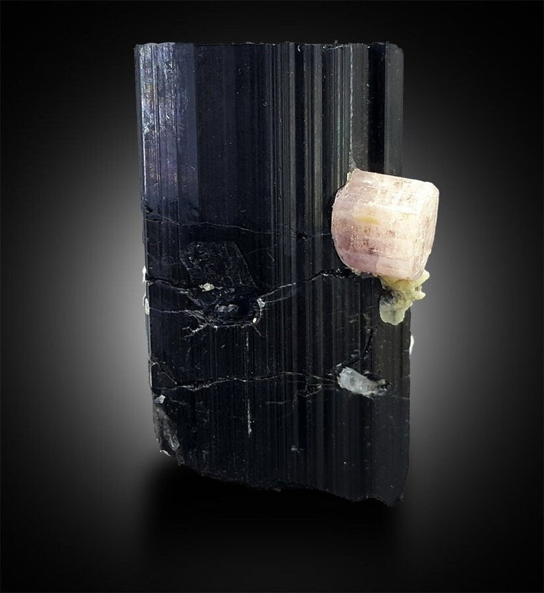 Tourmaline with Fluorapatite and Aquamarine, Combo Specimen, Fine Mineral, Tourmaline Apatite - 140 gram, 58*41*38 mm