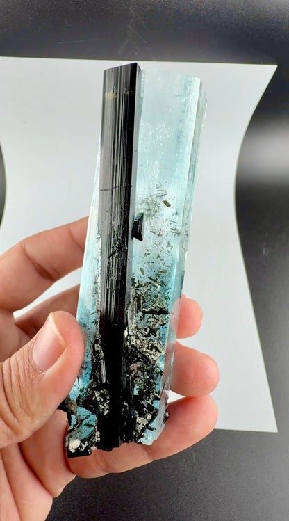 Aquamarine Crystal with Schorl from Pakistan, 160 Gram