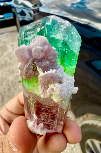 Watermelon Tourmaline Crystal with Lepidolite and Microlite from Paprok, 78 gram