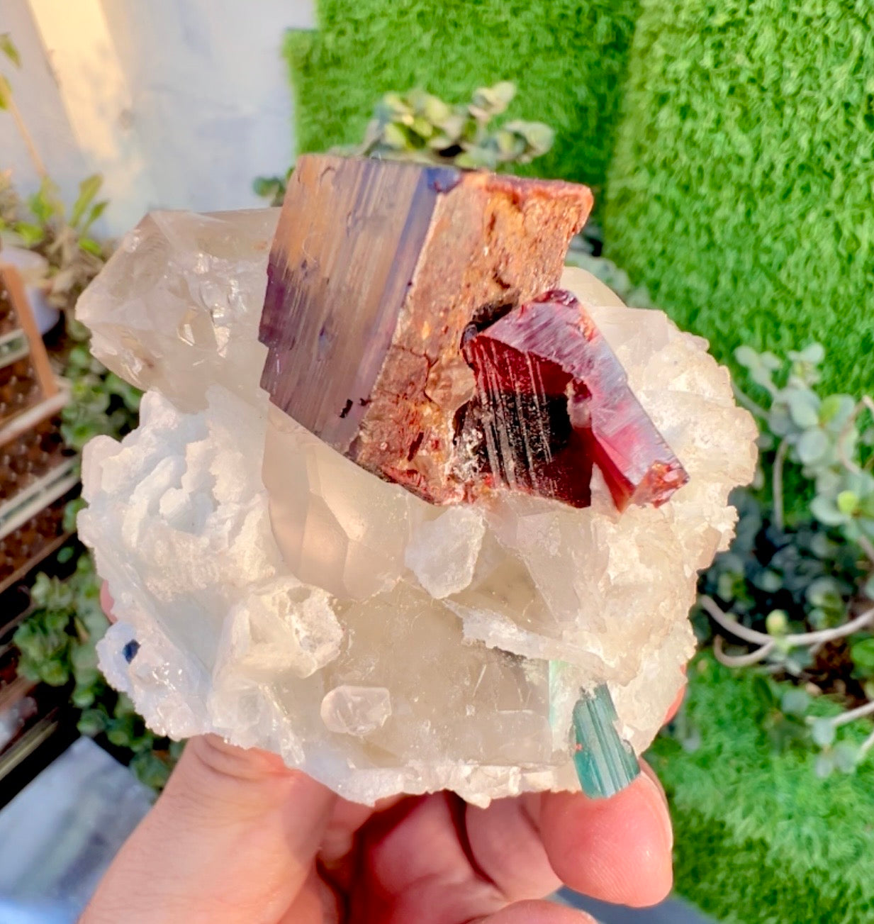 Tantalite, Indicolite Tourmaline, Morganite, Quartz and albite from Afghanistan, 244 gram