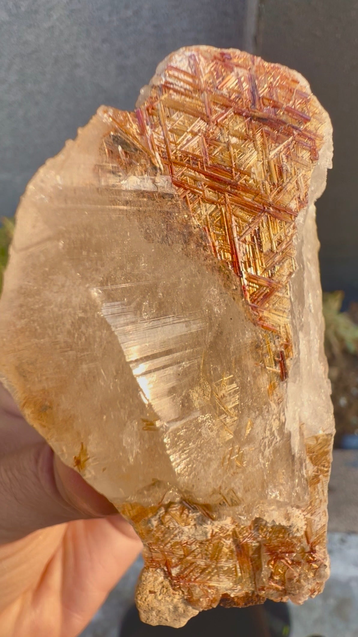 Sagenite Rutile on Quartz Crystal Specimen, Pakistan, 199 gram