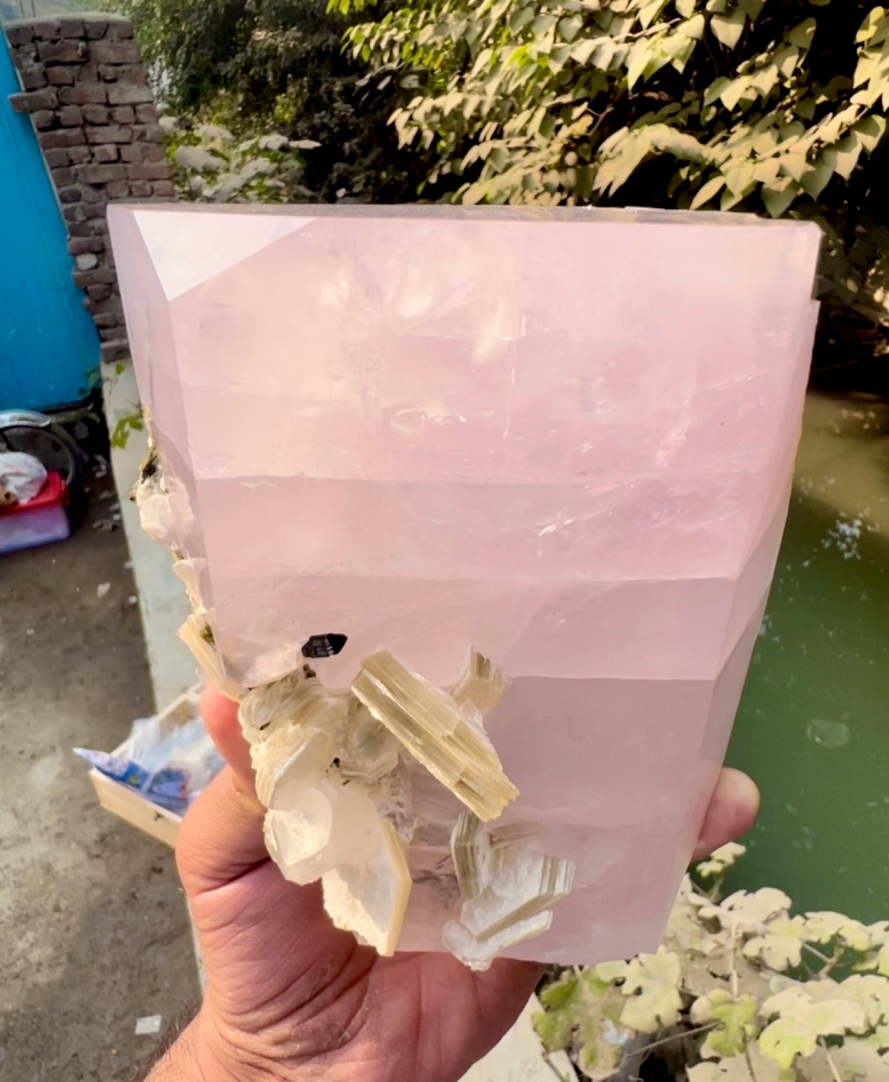Pink Morganite crystal with Tourmalines and Mica from Pakistan, 2339 gram