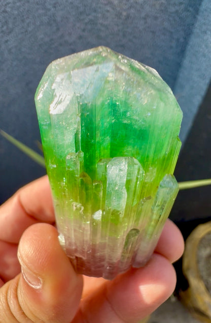 Multicolor Tourmaline Crystal from Paprok  - 76 gram